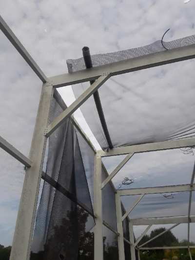 pool screen replacement ft myers